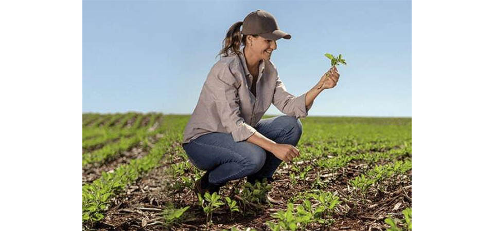 Sicredi disponibiliza R$ 60 bilhões para safra 2023/2024