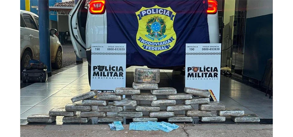 Polícia Militar apreende 115 quilos de entorpecentes e prende 8 pessoas por tráfico de drogas