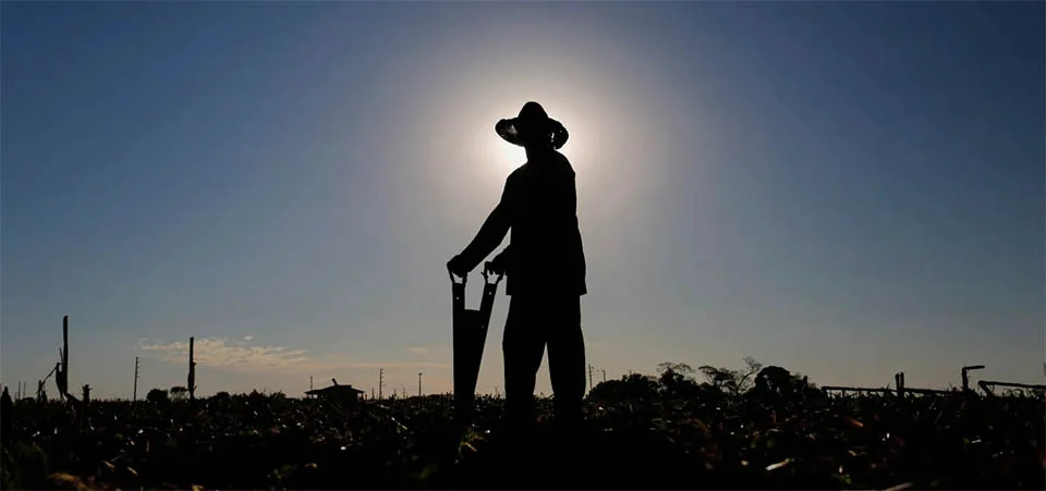 Produtores rurais ganham prazo maior para comprovar regularidade ambiental no crédito