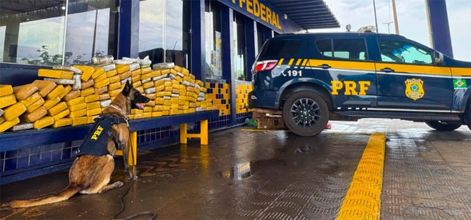 PRF localiza mais de 160 quilos de drogas em carreta