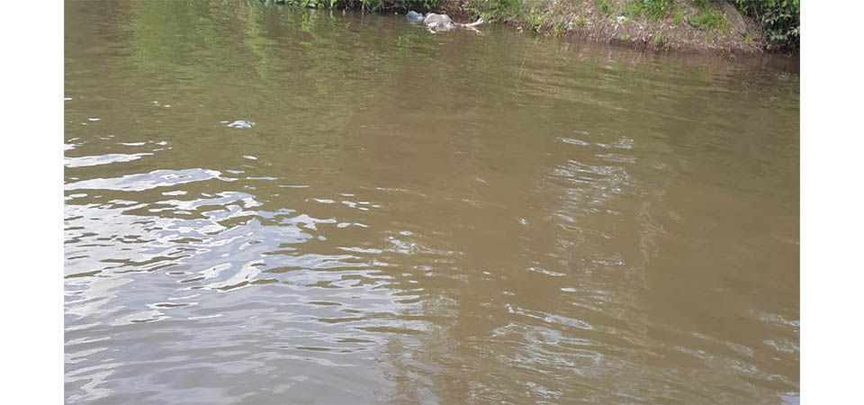 Após se afogar, filho de ex-prefeito entra em coma e morre aos 11 anos