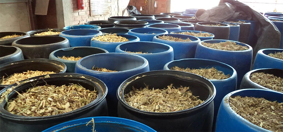 Sicredi neutraliza emissões de carbono de 2023 e 2024