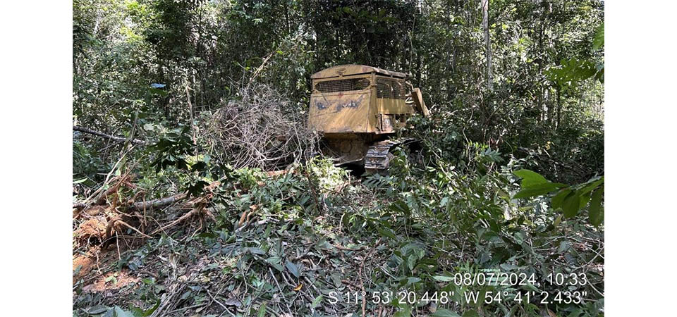 Batalhão Ambiental aplica mais de R$ 2 milhões em multas por desmatamento ilegal e apreende máquinas
