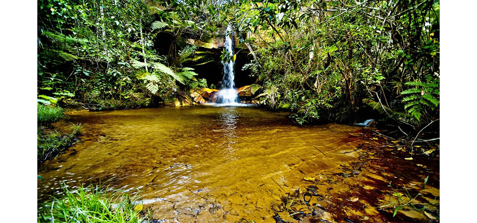 Itanhangá: Município tem 99% das nascentes preservadas
