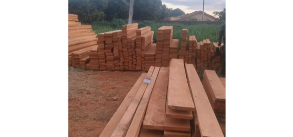 PM prende motorista que transportava carga de madeira irregular em caminhão