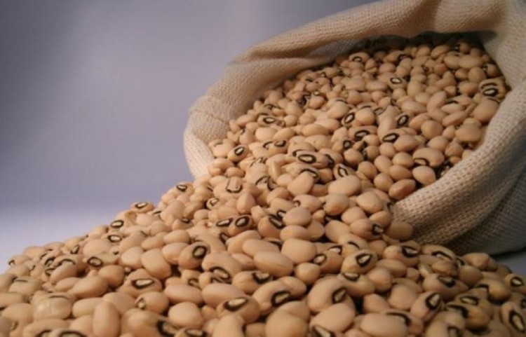 Fiscalização apreende 4,2 mil toneladas de feijão contaminado com agrotóxicos