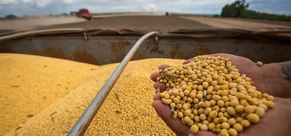 Cade decide suspender Moratória da Soja a partir de 2026 e entidades do agro comemoram medida