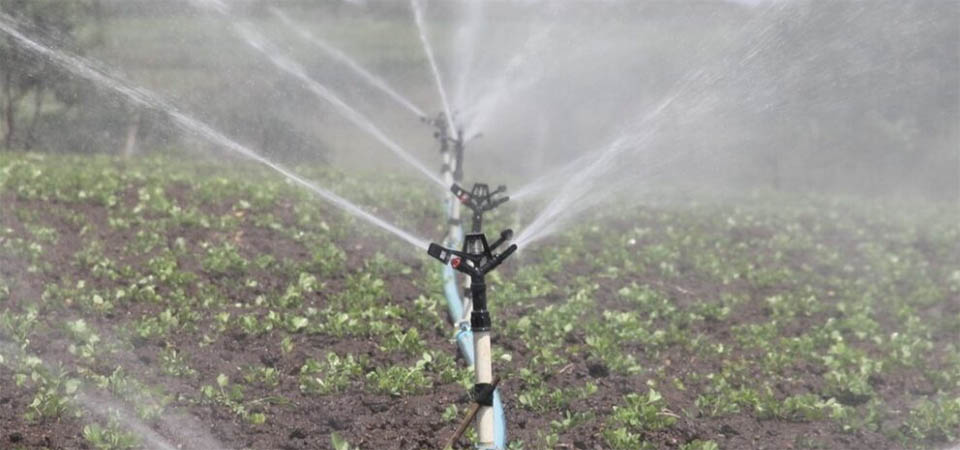 Pesquisadores da UFMT de Sinop iniciam projeto para auxiliar pequenos produtores na irrigação