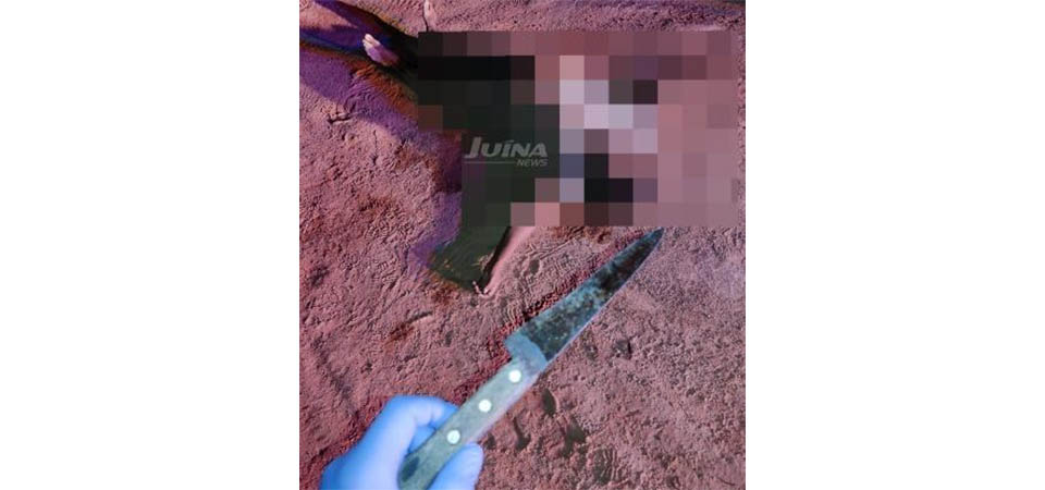 Mulher é morta a facadas pelo marido a mando de traficante