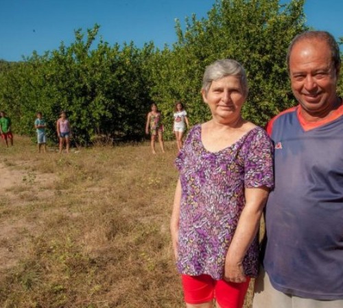 40 mil produtores mato-grossenses recebem assistência técnica