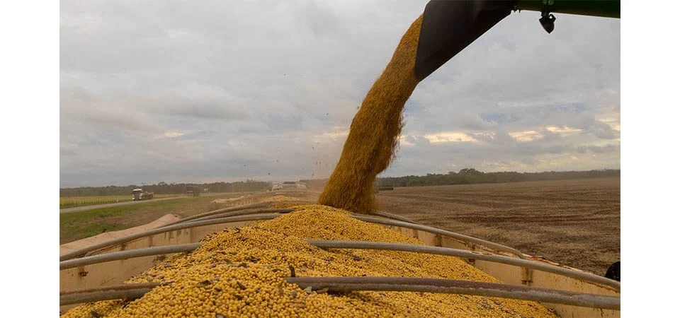Colheita recorde e esmagamento intenso mantêm previsão de forte alta no PIB da cadeia de soja e biodiesel neste ano