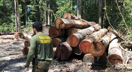 Autorizada a volta de militares à Amazônia, cidades de Mato Grosso na lista
