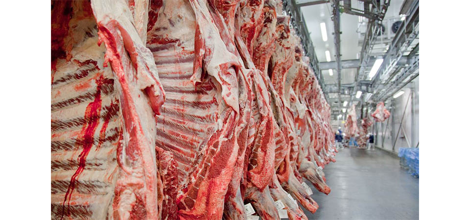 Mato Grosso é o Estado que mais produz carne bovina no Brasil