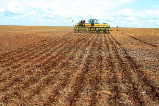 Plantio de soja avança, mas chuvas podem ficar escassas na próxima semana