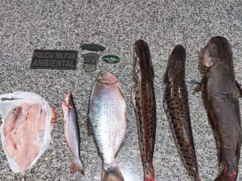 Fiscalização no Rio Arinos termina com apreensão de peixes após fuga de suspeitos