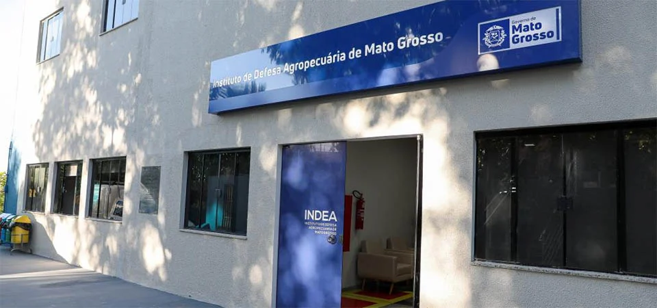 Indea recomenda reforço nos cuidados sanitários contra a gripe aviária para produtores e indústrias