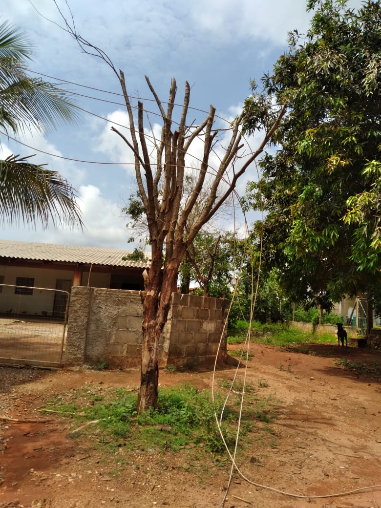 Itanhangá: Devido as chuvas os moradores podem ficar sem energia novamente