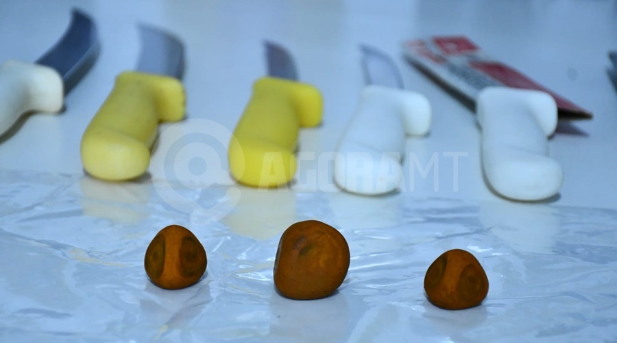 Funcionário de frigorífico é preso por furtar e esconder “pedras biliares bovina” na cueca