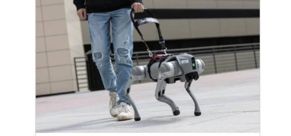 Cientistas desenvolvem cão-guia robô com IA que fala para ajudar deficiente visual