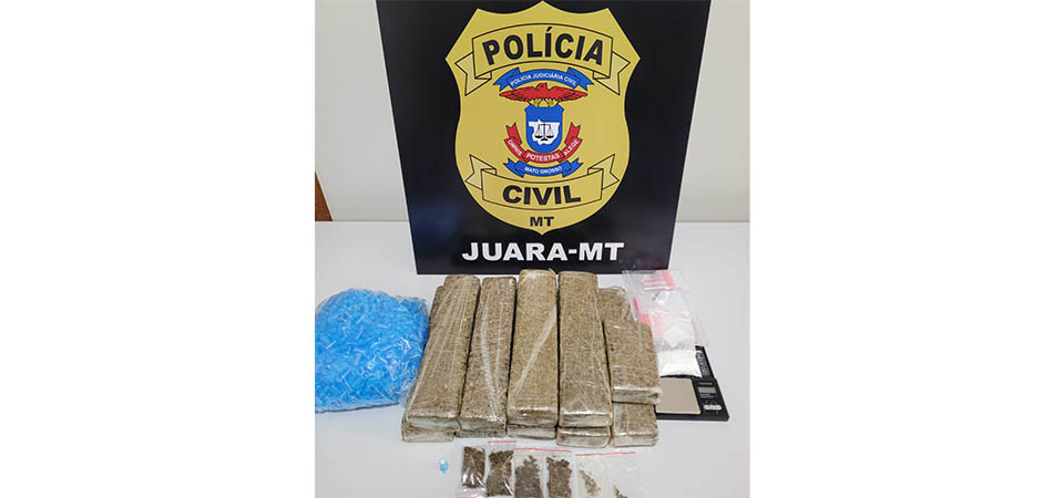 Polícia Civil apreende grande quantidade de droga e desarticula grupo voltado para o tráfico