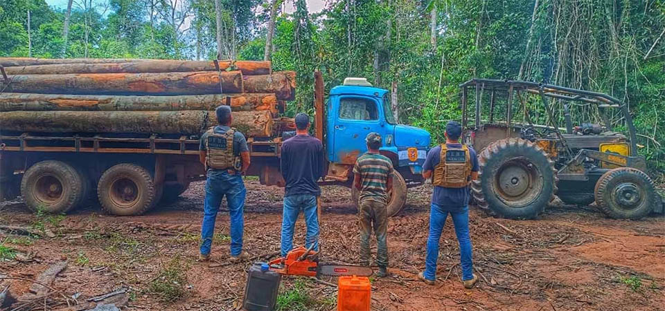 Nova Maringá: Três pessoas são presas extraindo madeira de área de preservação permanente