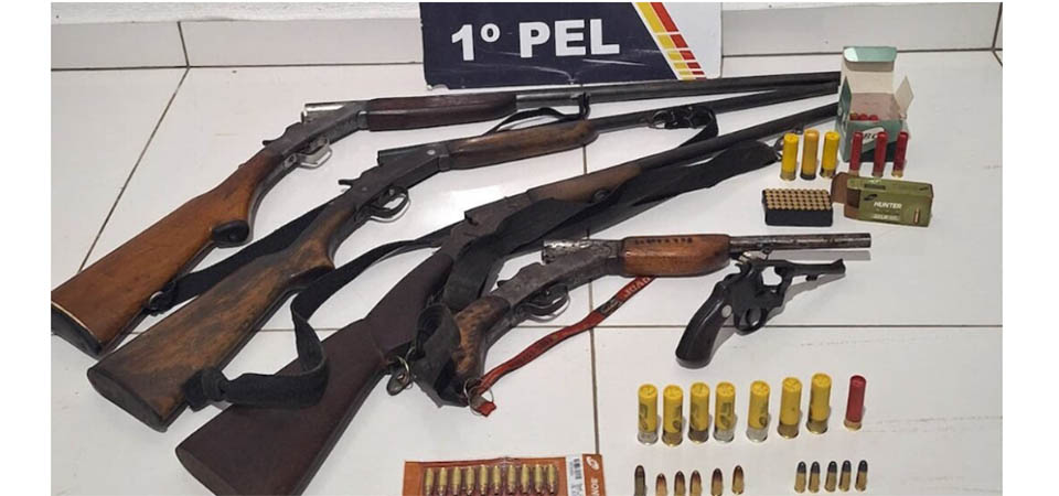 Polícia cumpre mandado de reintegração de posse e apreende armas