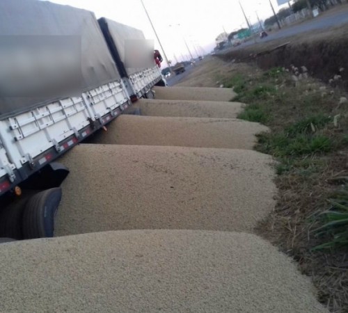 Comportas de vagões de bitrem são abertas e carga é derramada às margens de rodovia em Sinop