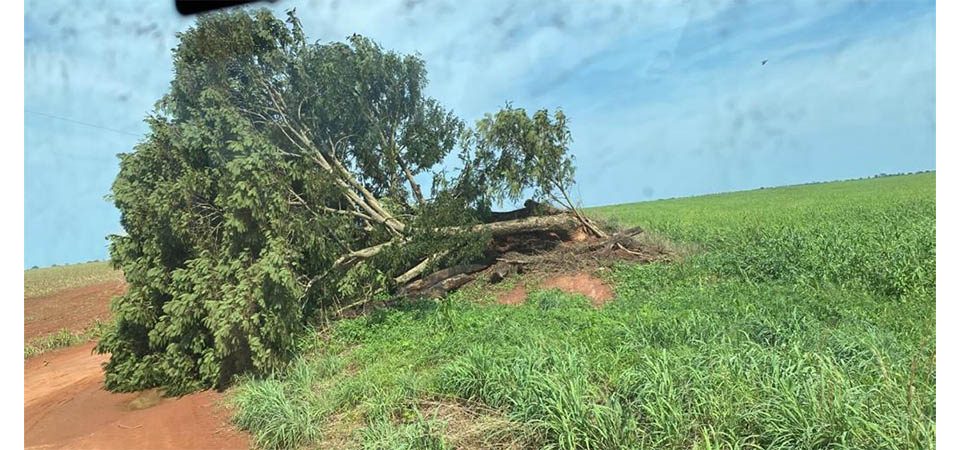 Itanhangá: Tempestade causa grandes prejuízos e a falta de energia é praticamente em todo o município. Fotos e vídeo