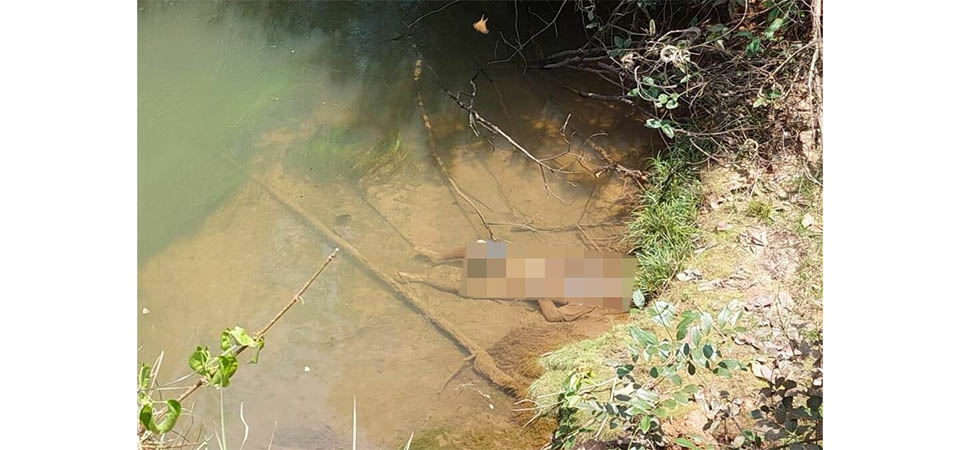 Corpo em avançado estado de decomposição é encontrado em rio