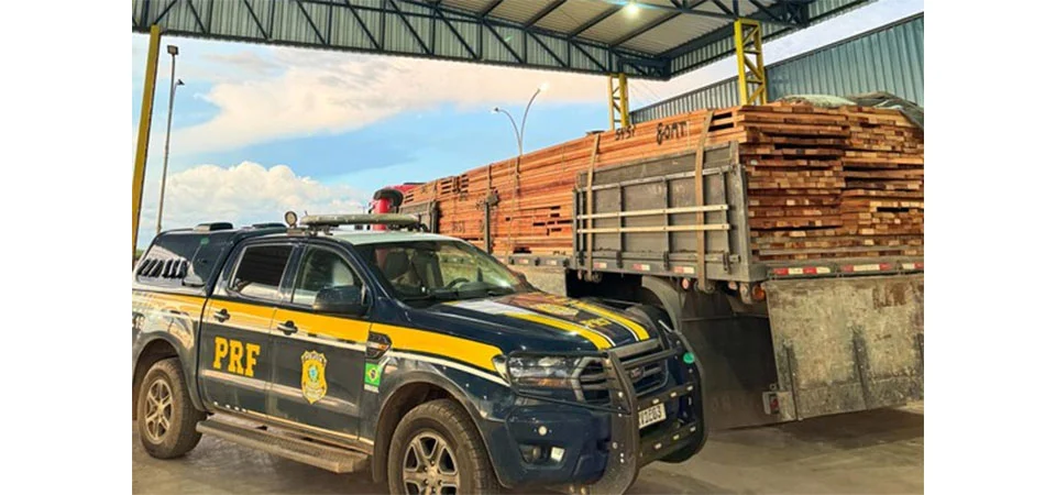 Mudam regras de gestão florestal em Mato Grosso