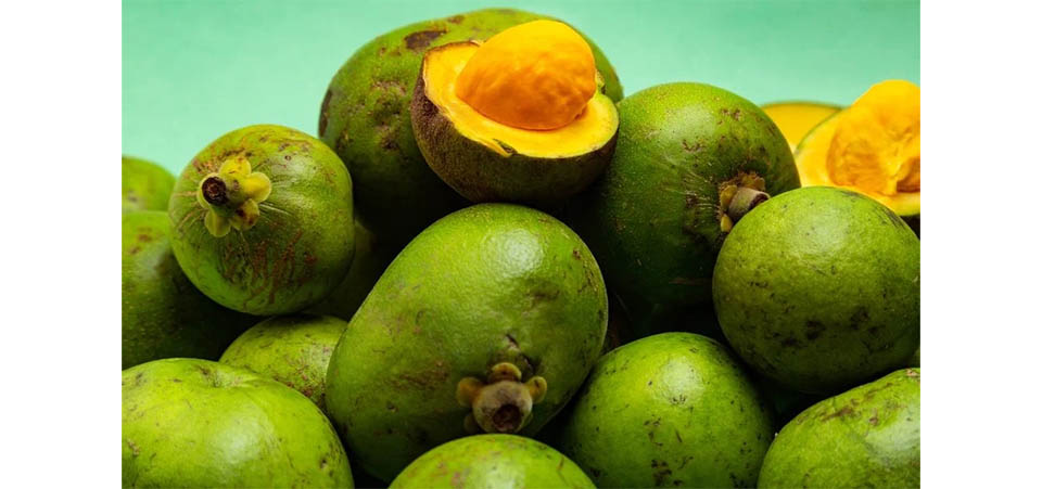 Pesquisa da UFMT avalia óleos funcionais do pequi e do baru para tratar frangos