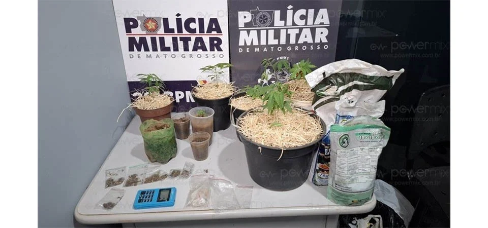 Estufa de maconha é descoberta em quarto de jovem em Nova