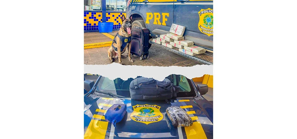 PRF apreende mais de 13 kg de drogas em fiscalizações a ônibus interestaduais