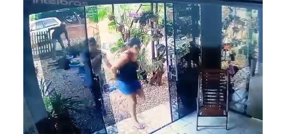 Bandidos abordam casal e matam cachorro em tentativa de roubo