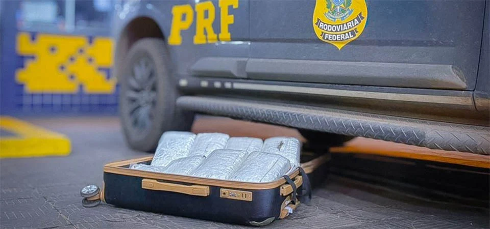 PRF apreende skunk em ônibus interestadual na BR-364