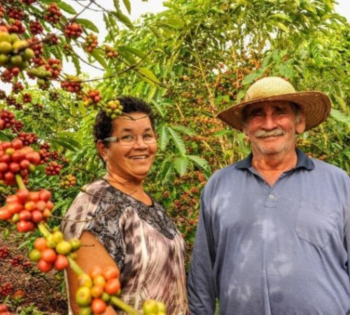 Seaf divulga cotação de preços da agricultura familiar