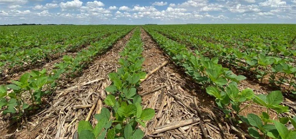 Itanhangá: Mais de 350 produtores ainda não registraram suas lavouras de soja junto ao INDEA