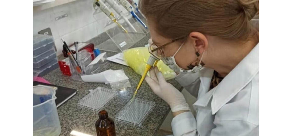 Pesquisadores da UFMT desenvolvem película biodegradável para conservação de alimentos