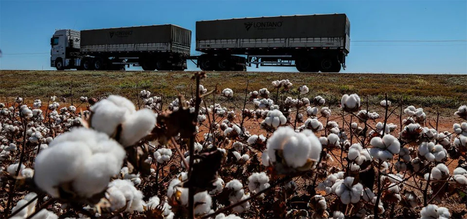 Exportações de MT alcançam 157 países e geram US$ 25,95 bilhões em 2024