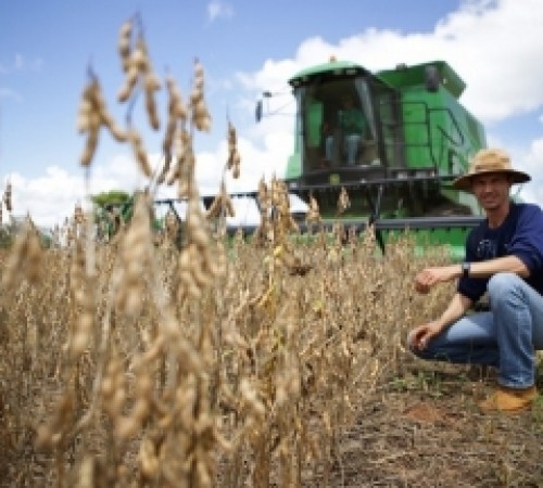 Dia do Agricultor: amor pelo cultivo da terra
