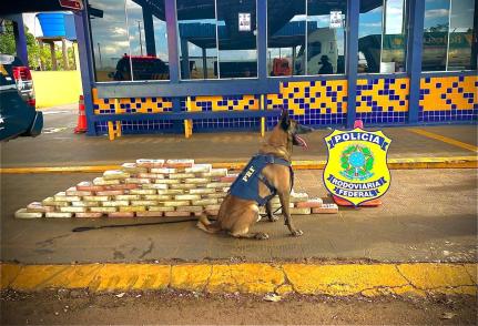 PRF apreende cerca de 70 quilos de cocaína em rodovia no interior