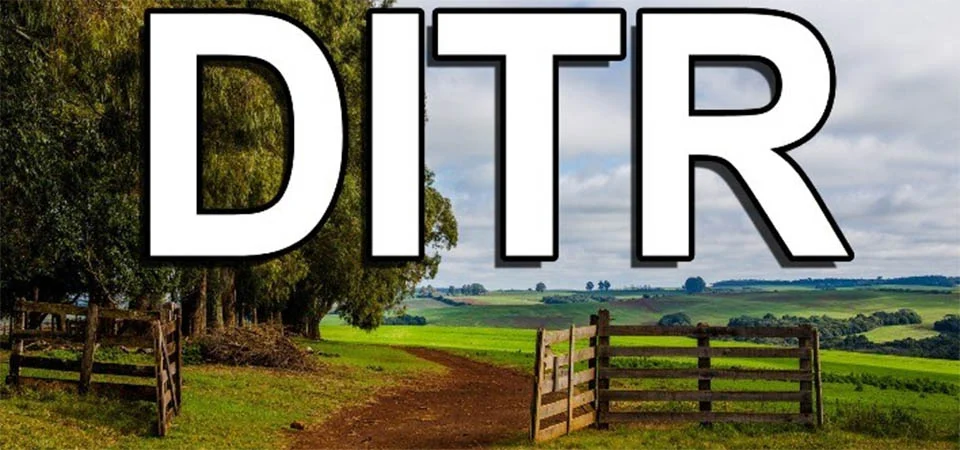 Declaração do ITR 2025 deve ser entregue até 30 de setembro; veja quem precisa declarar