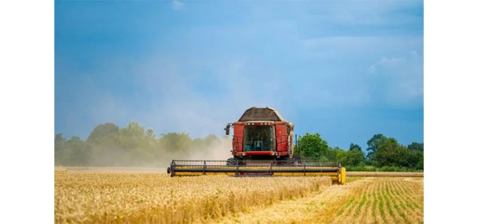 Mato Grosso terá forte aceleração econômica em 2025