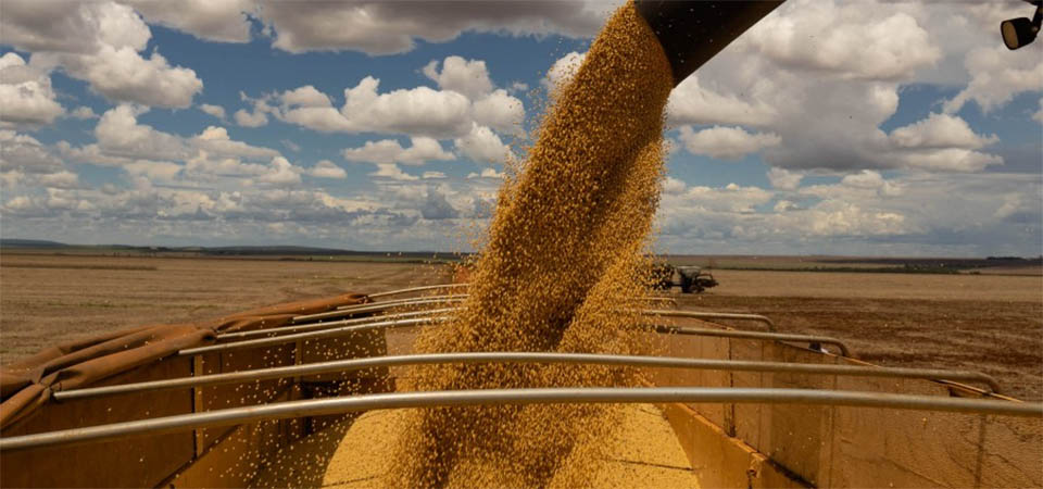 Desembolso do crédito rural em Mato Grosso reduziu 65% no atual Plano Safra