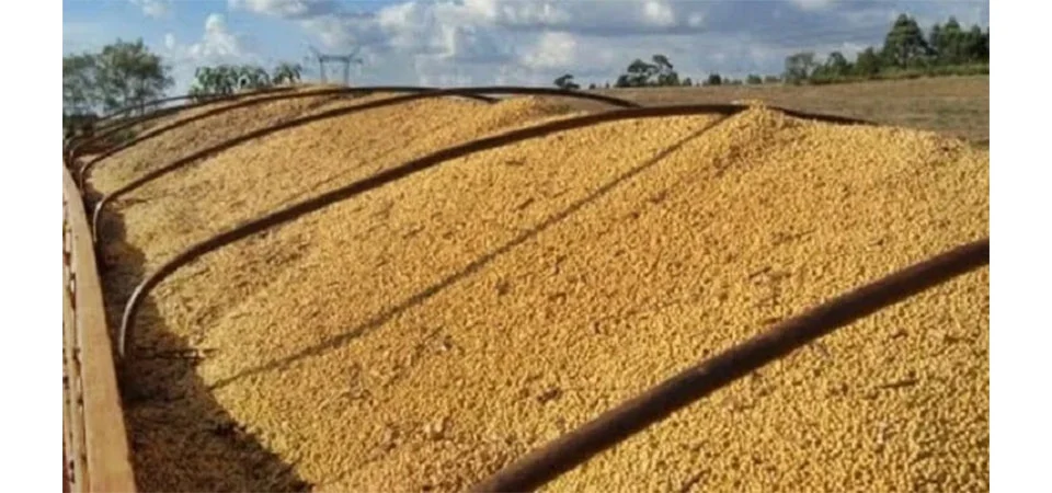 Bandidos clonam documentos de transportadora e furtam carga de soja