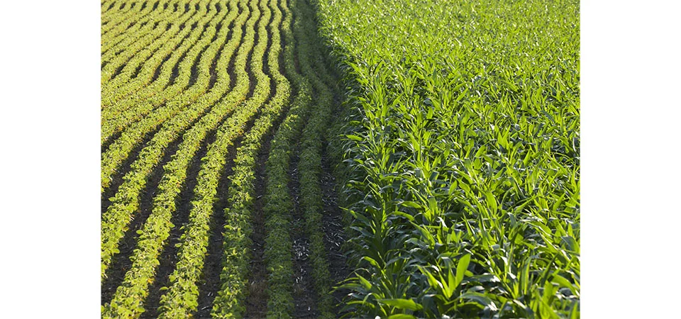‘MT é o que é devido a políticas construídas com diálogo’, diz César Miranda