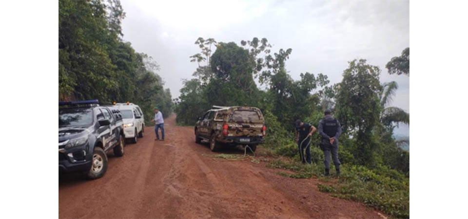 Caminhão carregado de milho tomba e motorista morre
