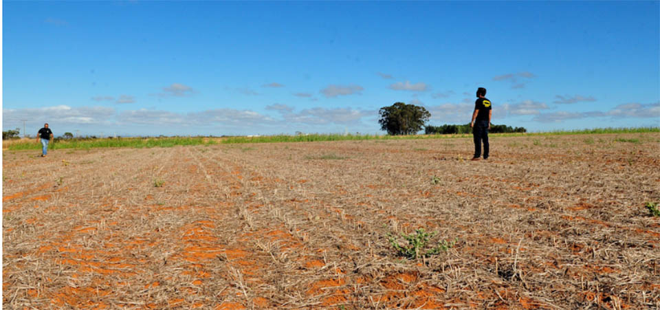 Chuvas este mês e outubro em MT devem ficar abaixo da média e plantio de soja pode atrasar