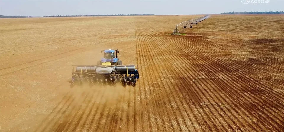 À espera de chuva, plantio de soja engatinha em Mato Grosso