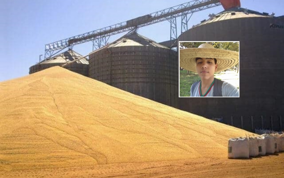 Incêndio de grandes proporções atinge silo de soja